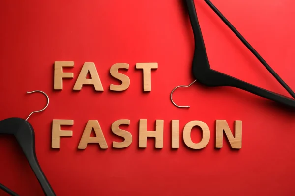 Anti-fast fashion law: influencer advertising and bonus-malus on the menu of the joint committee
