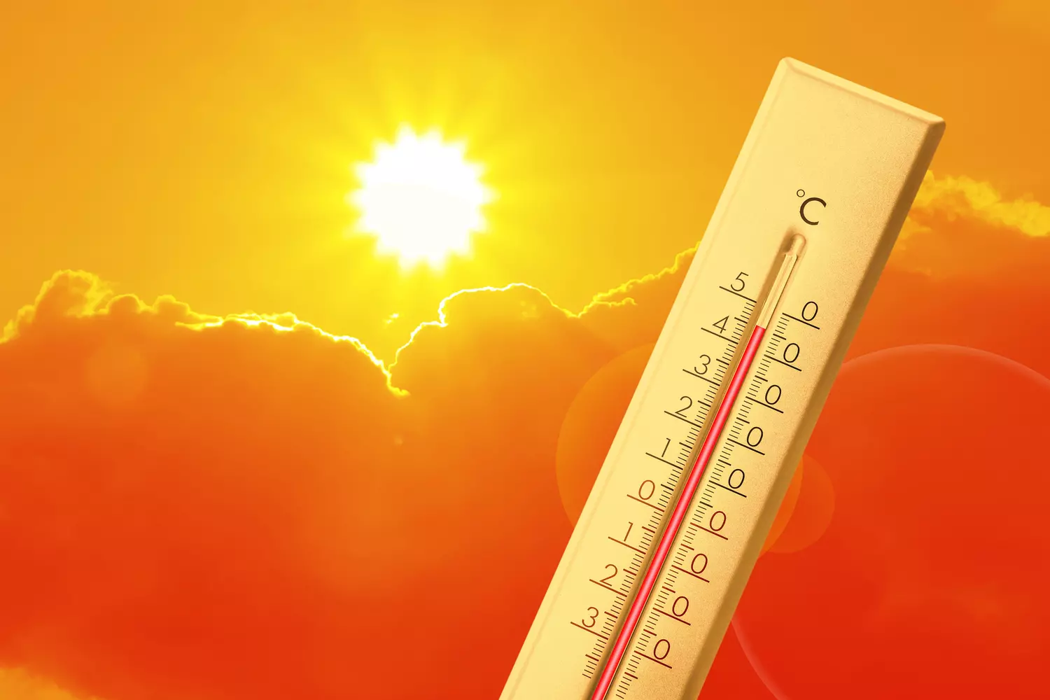 French companies ordered to adapt to the increase in heat waves