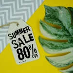 The government postpones the end of the 2026 summer sales because of the heatwave