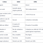 SASU or EURL: which status should you choose to create your business?