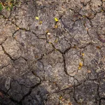The three waves of heat waves in France in 2026 pose a downward risk to growth