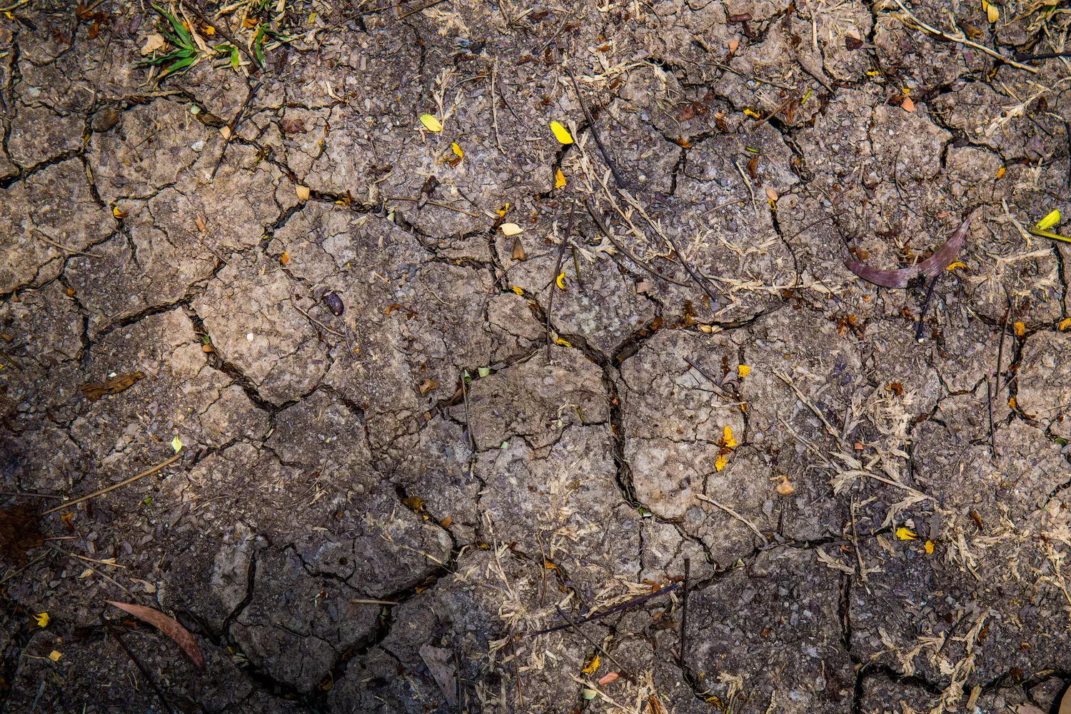 The three waves of heat waves in France in 2026 pose a downward risk to growth